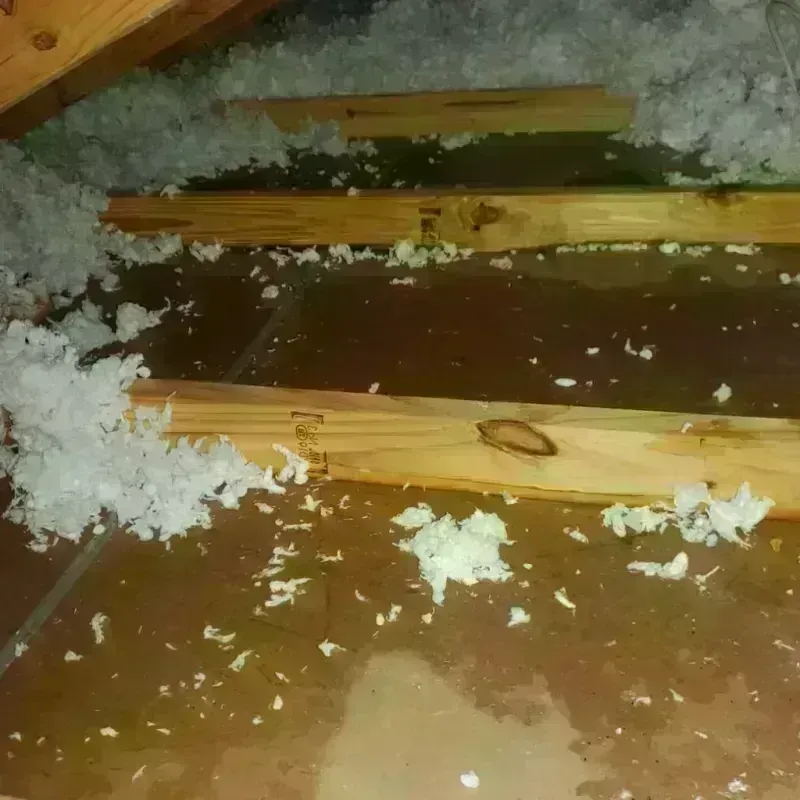 Attic Water Damage in Auburn, CA